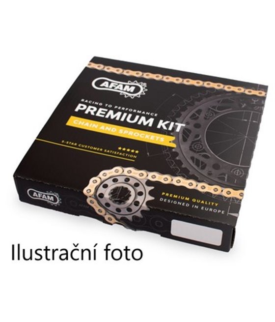 Kettensatz Afam Suzuki GSX 250 R GP 2020 golden