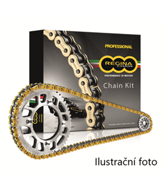 Chain kit Regina Rieju 50 MRT Pro 2009 - 2010 gold